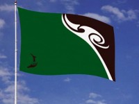 The Ngāti Kuri flag